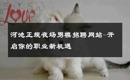 河池正规夜场男模招聘网站-开启你的职业新机遇 