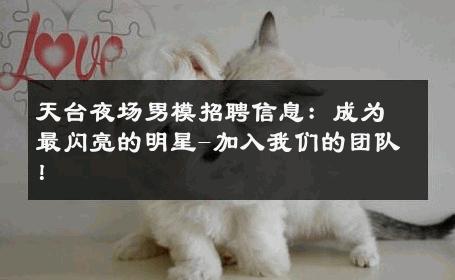 天台夜场男模招聘信息：成为最闪亮的明星-加入我们的团队！ 