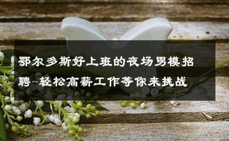 鄂尔多斯好上班的夜场男模招聘-轻松高薪工作等你来挑战 