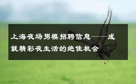 上海夜场男模招聘信息——成就精彩夜生活的绝佳机会 