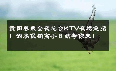 贵阳尊荣会夜总会KTV夜场急招！酒水促销高手日结等你来！ 