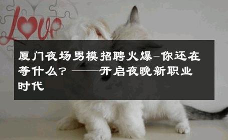 厦门夜场男模招聘火爆-你还在等什么？——开启夜晚新职业时代 