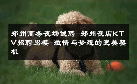郑州商务夜场诚聘-郑州夜店KTV招聘男模-激情与梦想的完美契机 