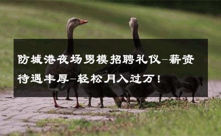 防城港夜场男模招聘礼仪-薪资待遇丰厚-轻松月入过万！ 