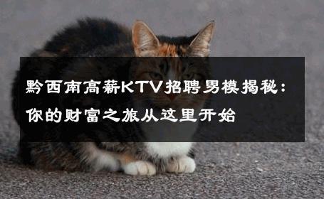 黔西南高薪KTV招聘男模揭秘：你的财富之旅从这里开始 