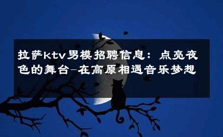 拉萨ktv男模招聘信息：点亮夜色的舞台-在高原相遇音乐梦想 