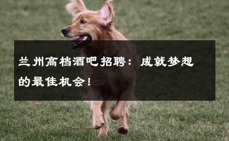 兰州高档酒吧招聘：成就梦想的最佳机会！ 