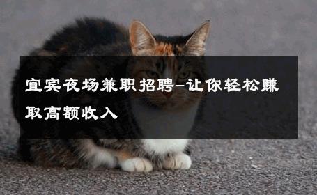 宜宾夜场兼职招聘-让你轻松赚取高额收入 