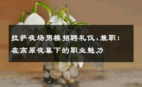 拉萨夜场男模招聘礼仪,兼职：在高原夜幕下的职业魅力 