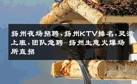 扬州夜场招聘,扬州KTV排名,灵活上班,团队急聘-扬州生意火爆场所直招