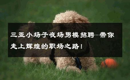 三亚小场子夜场男模招聘-带你走上辉煌的职场之路！ 