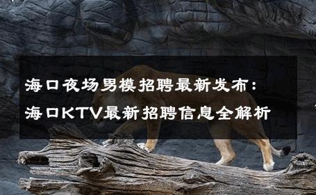海口夜场男模招聘最新发布：海口KTV最新招聘信息全解析 