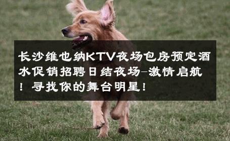长沙维也纳KTV夜场包房预定酒水促销招聘日结夜场-激情启航！寻找你的舞台明星！ 