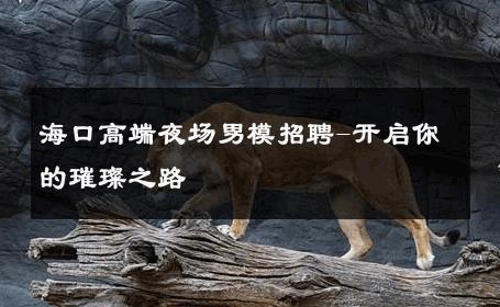 海口高端夜场男模招聘-开启你的璀璨之路 