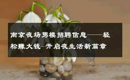 南京夜场男模招聘信息——轻松赚大钱-开启夜生活新篇章 