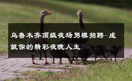乌鲁木齐顶级夜场男模招聘-成就你的精彩夜晚人生 