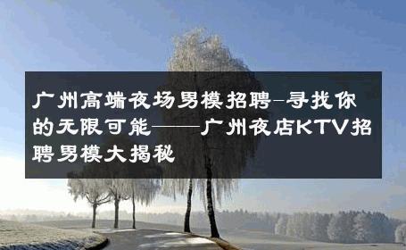 广州高端夜场男模招聘-寻找你的无限可能——广州夜店KTV招聘男模大揭秘 