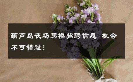 葫芦岛夜场男模招聘信息-机会不可错过！ 