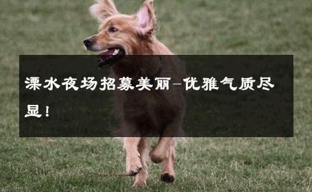 溧水夜场招募美丽-优雅气质尽显！ 