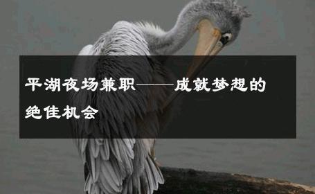 平湖夜场兼职——成就梦想的绝佳机会 