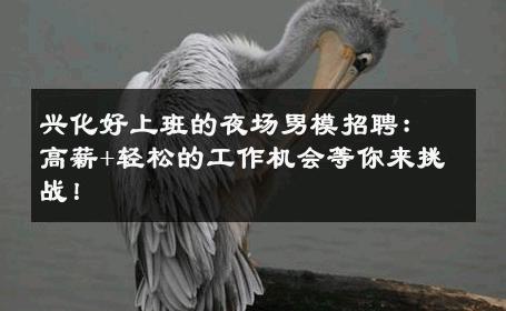 兴化好上班的夜场男模招聘：高薪+轻松的工作机会等你来挑战！ 