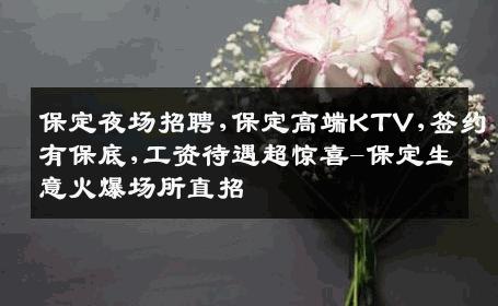 保定夜场招聘,保定高端KTV,签约有保底,工资待遇超惊喜-保定生意火爆场所直招