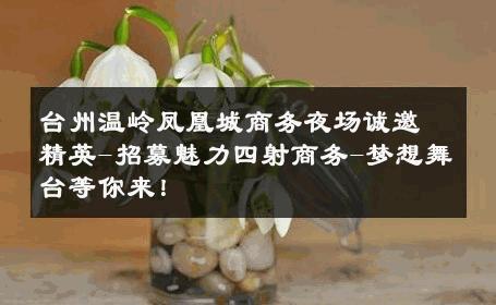 台州温岭凤凰城商务夜场诚邀精英-招募魅力四射商务-梦想舞台等你来！ 