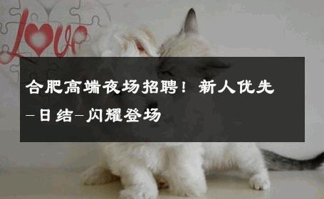 合肥高端夜场招聘！新人优先-日结-闪耀登场 