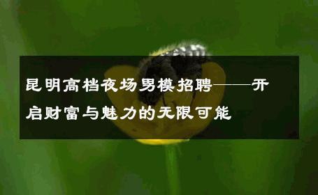 昆明高档夜场男模招聘——开启财富与魅力的无限可能 