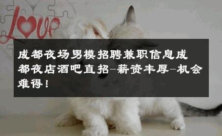 成都夜场男模招聘兼职信息成都夜店酒吧直招-薪资丰厚-机会难得！ 