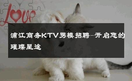 浦江商务KTV男模招聘-开启您的璀璨星途 