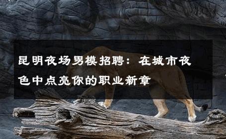 昆明夜场男模招聘：在城市夜色中点亮你的职业新章 