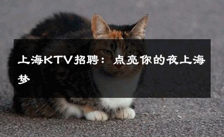上海KTV招聘：点亮你的夜上海梦 