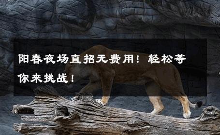 阳春夜场直招无费用！轻松等你来挑战！ 
