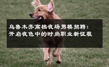 乌鲁木齐高档夜场男模招聘：开启夜色中的时尚职业新征程 