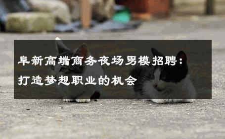 阜新高端商务夜场男模招聘：打造梦想职业的机会 