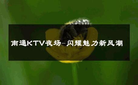 南通KTV夜场-闪耀魅力新风潮 