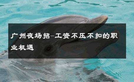 广州夜场招-工资不压不扣的职业机遇 