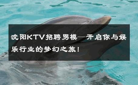 沈阳KTV招聘男模—开启你与娱乐行业的梦幻之旅！ 