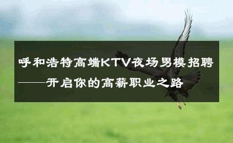 呼和浩特高端KTV夜场男模招聘——开启你的高薪职业之路 