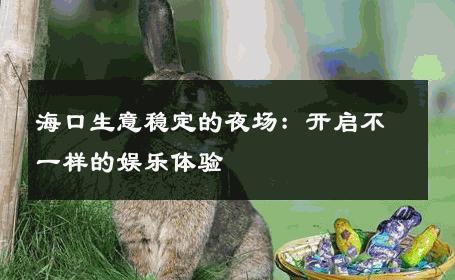 海口生意稳定的夜场：开启不一样的娱乐体验 