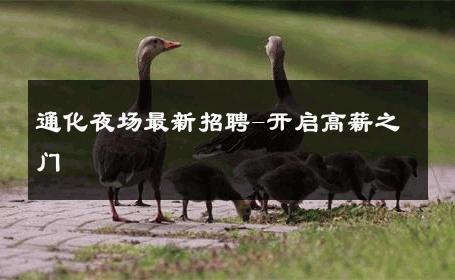通化夜场最新招聘-开启高薪之门 