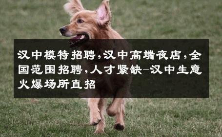 汉中模特招聘,汉中高端夜店,全国范围招聘,人才紧缺-汉中生意火爆场所直招