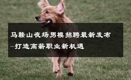 马鞍山夜场男模招聘最新发布-打造高薪职业新机遇 
