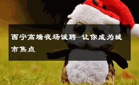 西宁高端夜场诚聘-让你成为城市焦点 