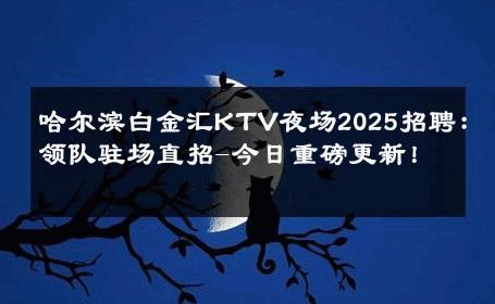 哈尔滨白金汇KTV夜场2025招聘：领队驻场直招-今日重磅更新！ 