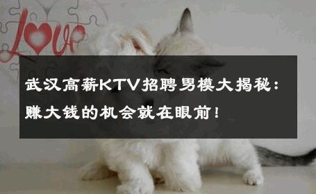 武汉高薪KTV招聘男模大揭秘：赚大钱的机会就在眼前！ 