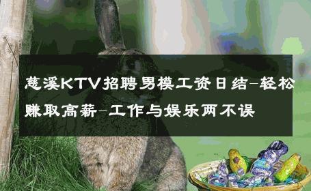 慈溪KTV招聘男模工资日结-轻松赚取高薪-工作与娱乐两不误 