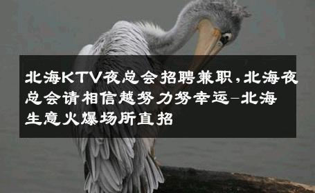 北海KTV夜总会招聘兼职,北海夜总会请相信越努力努幸运-北海生意火爆场所直招