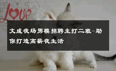 文成夜场男模招聘主打二班-助你打造高薪夜生活 